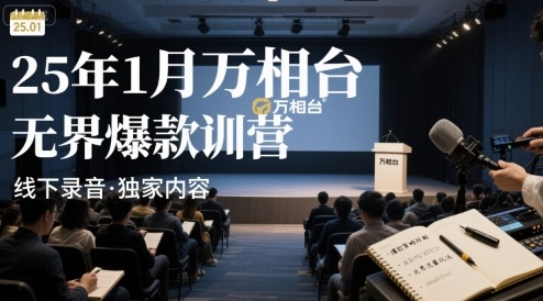 25年1月万相台无界爆款特训营线下录音-追梦聊项目