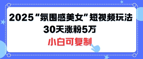 不露脸也能火！2025“氛围感美女”短视频玩法，30天涨粉5W小白可复制-追梦聊项目