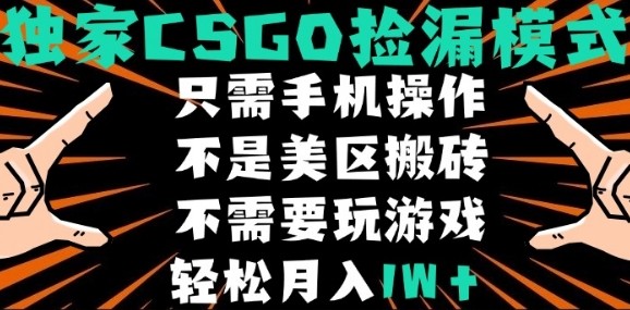CSGO自动捡漏项目，最新独家玩法，不是美区搬砖，不需要了解和玩游戏，新手小白轻松月入1W+【揭秘】-追梦聊项目