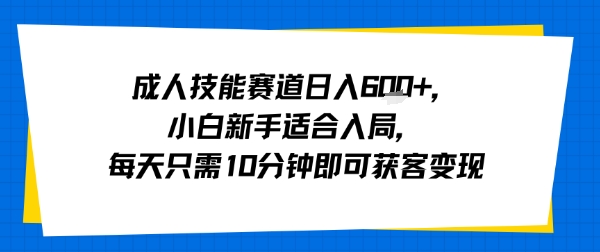 成人技能赛道日入多张，小白新手适合入局，每天只需10分钟即可获客变现-追梦聊项目