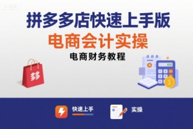 拼多多店快速上手版电商会计实操-电商财务教程-追梦聊项目