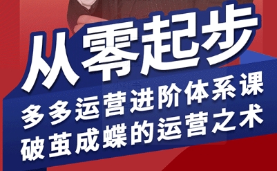 拼多多运营进阶系统课，从零起步，多多运营进阶体系课，破茧成蝶的运营之术-追梦聊项目