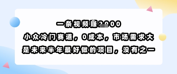 一条视频挣1k，小众冷门赛道，0成本，市场需求大，是未来半年最好做的项目，没有之一-追梦聊项目