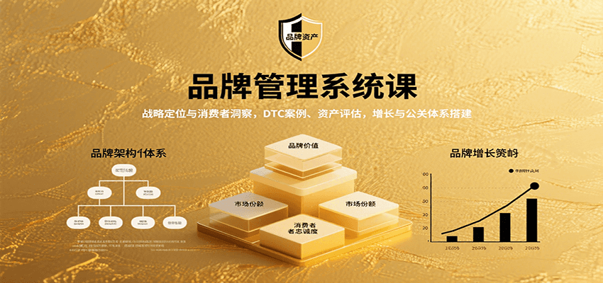 品牌管理系统课：战略定位与消费者洞察，DTC案例、资产评估，增长与公关体系搭建-追梦聊项目