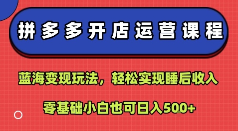 拼多多开店运营课程：蓝海变现玩法，轻松实现睡后收入，零基础小白也可日入5张-追梦聊项目