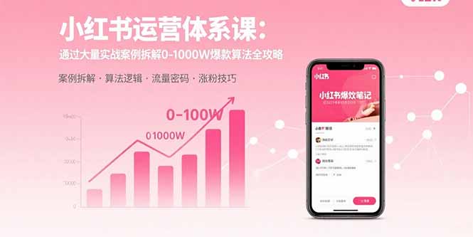 小红书运营体系课：通过大量实战案例拆解0-1000W爆款算法全攻略-追梦聊项目