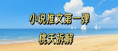 小说推文项目操作全流程第一弹，0粉就能做，门槛低非常适合新手-追梦聊项目