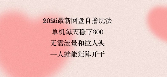 2025最新网盘自撸玩法，单机每天稳下3张，无需流量和拉人头，一个人就可轻松矩阵，全网独一份【揭秘】-追梦聊项目