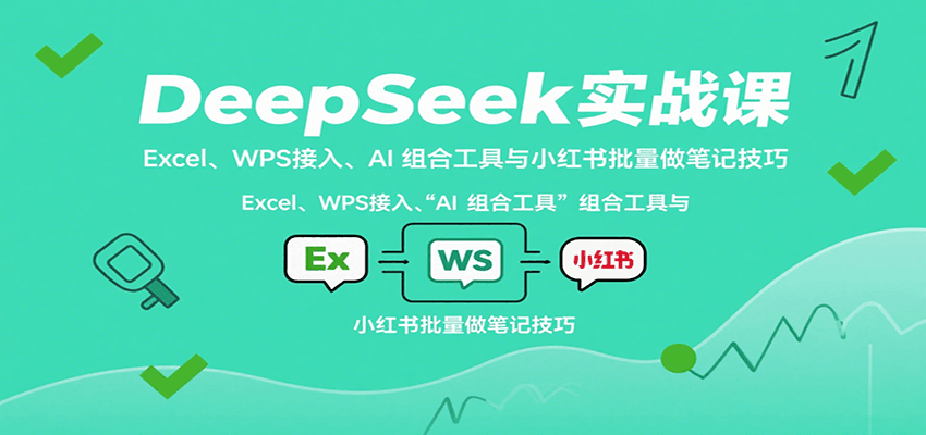 DeepSeek实战课：Excel、WPS接入、AI 组合工具与小红书批量做笔记技巧-追梦聊项目