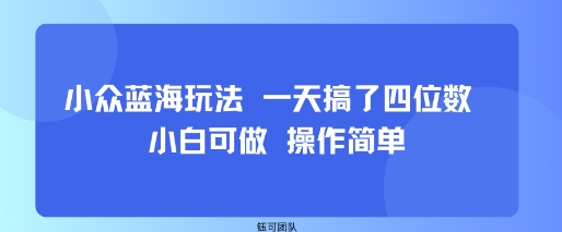 小众蓝海玩法 一天搞了四位数 小白可做 操作简单-追梦聊项目