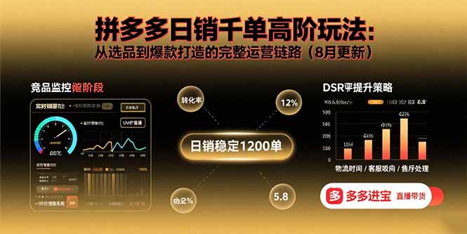 拼多多日销千单高阶玩法：从选品到爆款打造的完整运营链路(8月更新-追梦聊项目