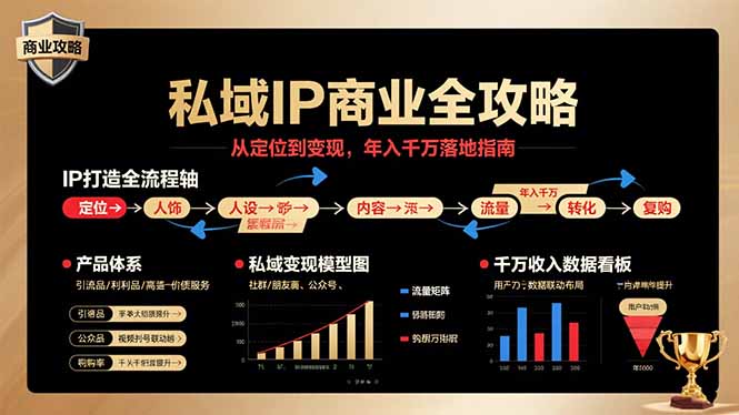 私域IP商业全攻略，从定位到变现，年入千万落地指南-追梦聊项目