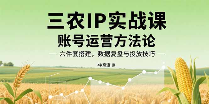 三农IP实战课：账号运营方法论，六件套搭建，数据复盘与投放技巧-追梦聊项目