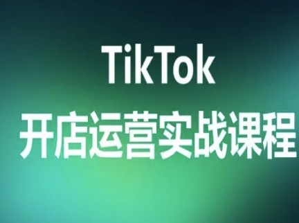 TikTok开店运营实战课程，TK跨境电商实操全流程-追梦聊项目