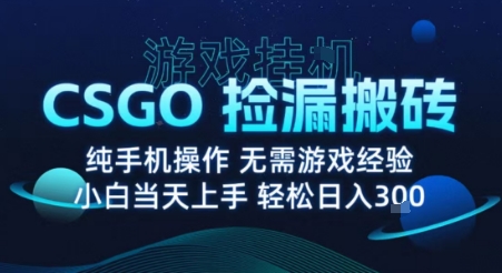 8月最新游戏搬砖，CSGO纯挂G，不需要玩游戏，实现真挂G，月入1W+【揭秘】-追梦聊项目