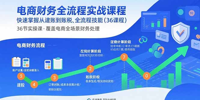 电商财务全流程实战课程：快速掌握从建账到报税的全流程技能(36节课-追梦聊项目