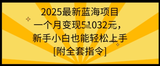2025最新蓝海项目一个月变现1w+新手小白也能轻松上手【附全套指令】-追梦聊项目