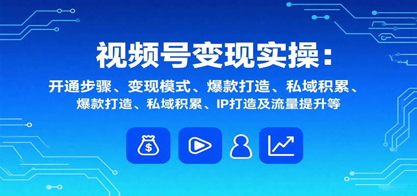 视频号变现实操，含开通步骤、变现模式、爆款打造、私域积累、IP打造及流量提升等-追梦聊项目