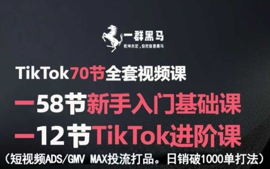 TikTok全套视频课，新手入门+进阶课，短视频ADS-GMV MAX投流打品，日销破1000单打法-追梦聊项目