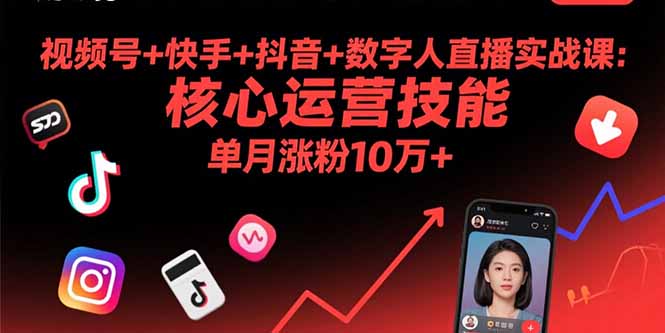 视频号+快手+抖音+数字人直播实战课(9月-追梦聊项目