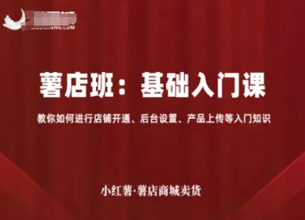 小红薯薯店商城卖货，基础入门课，教你如何进行店铺开通、后台设置、产品上传等入门知识-追梦聊项目