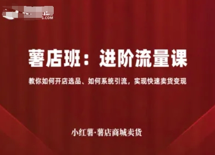小红薯薯店商城卖货，进阶流量课，教你如何开店选品、如何系统引流，实现快速卖货变现-追梦聊项目