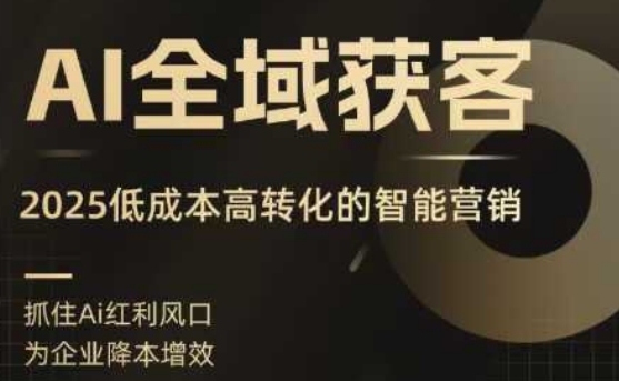 AI全域获客实训营，2025低成本高转化的智能营销，精准找客，高效营销-追梦聊项目