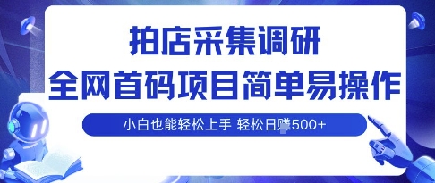 拍店采集调研，全网首码项目，简单易操作， 小白也能轻松上手，多账号操作，轻松日入5张【揭秘】-追梦聊项目