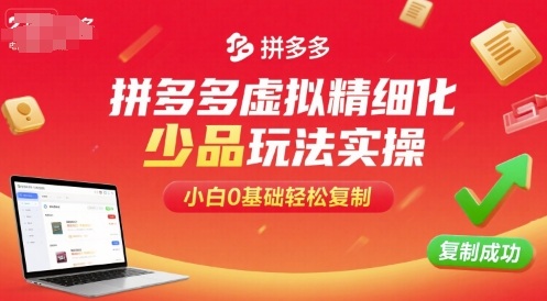 拼多多虚拟精细化少品玩法实操，小白0基础轻松复制-追梦聊项目