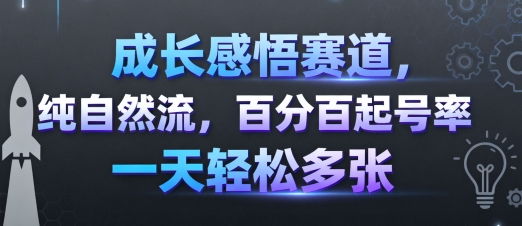 成长感悟赛道，纯自然流，百分百起号率 一天轻松多张-追梦聊项目