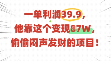 一单利润39.9，有人靠这个变现几十个，偷偷闷声发财的项目-追梦聊项目