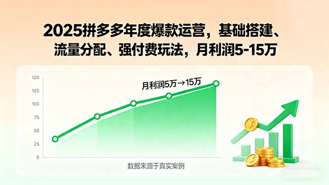 2025拼多多年度爆款运营，基础搭建、流量分配、强付费玩法，月利润5-15万-追梦聊项目