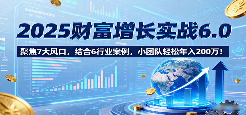 2025财富增长实战6.0，聚焦7大风口，结合6行业案例，小团队轻松年入200万！-追梦聊项目