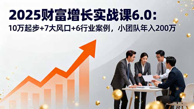2025财富增长实战课6.0：10万起步+7大风口+6行业案例，小团队年入200万-追梦聊项目