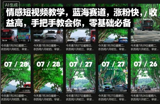 情感短视频教学，蓝海赛道，涨粉快，收益高，手把手教会你，零基础必备-追梦聊项目