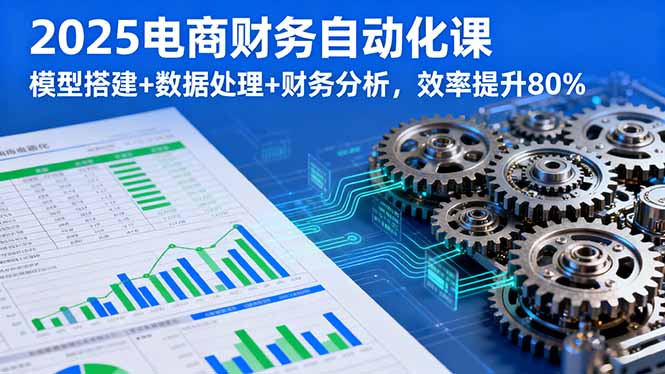 2025电商财务自动化课，模型搭建+数据处理+财务分析，效率提升80%-追梦聊项目