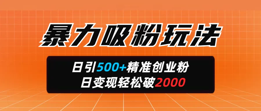 暴力吸粉玩法，日引500+精准创业粉，日变现轻松破2000-追梦聊项目